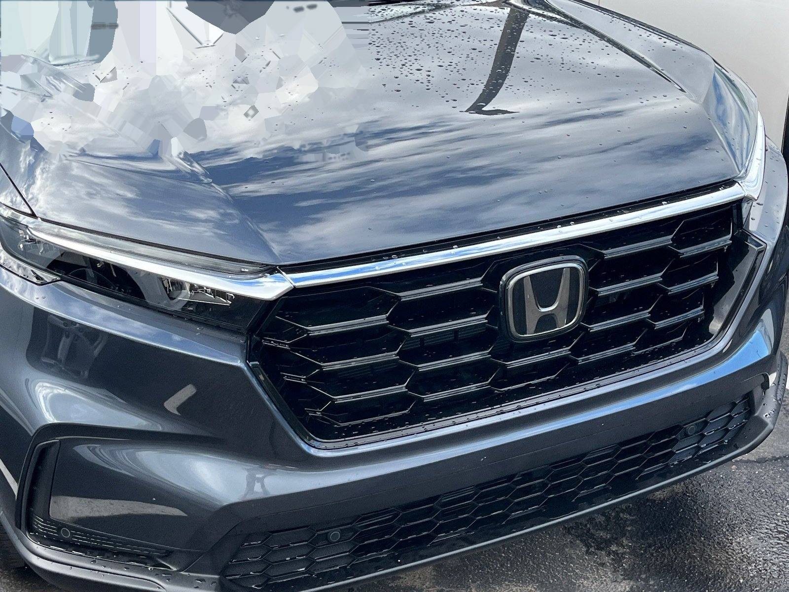 2025 Honda CR-V EX-L — photo 5 thumbnail