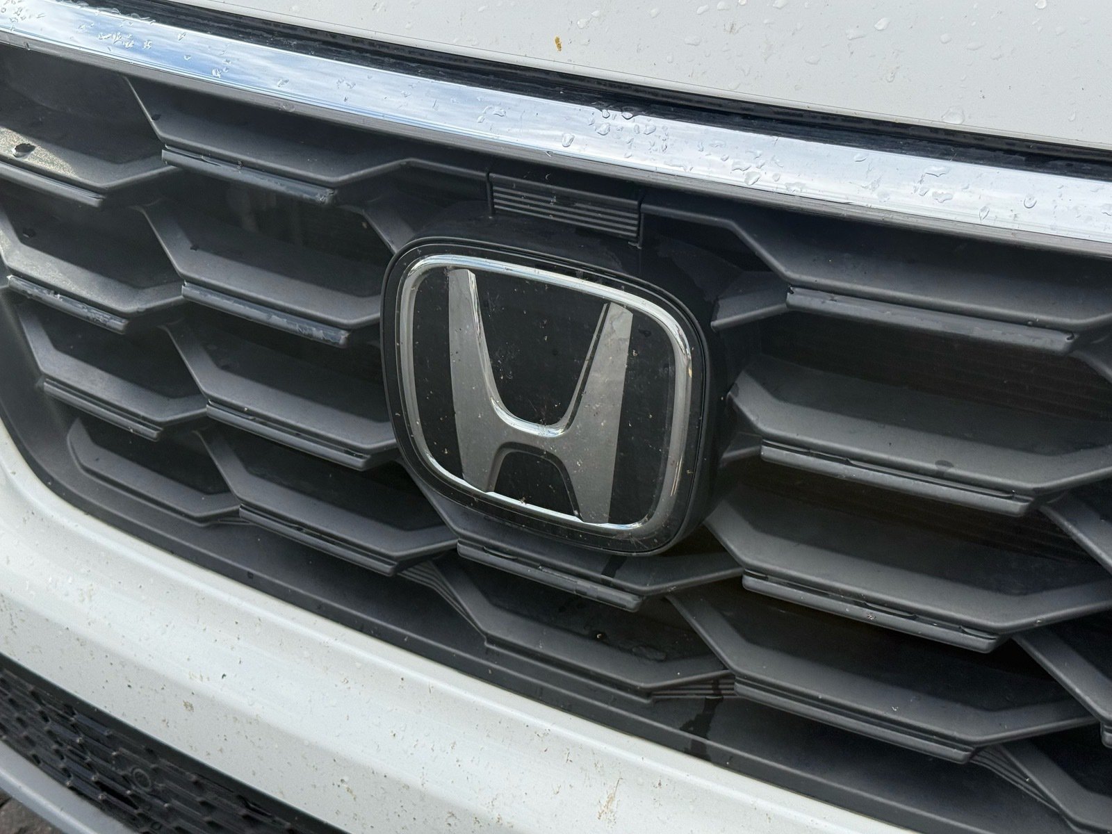 2024 Honda Pilot EX-L — photo 6 thumbnail