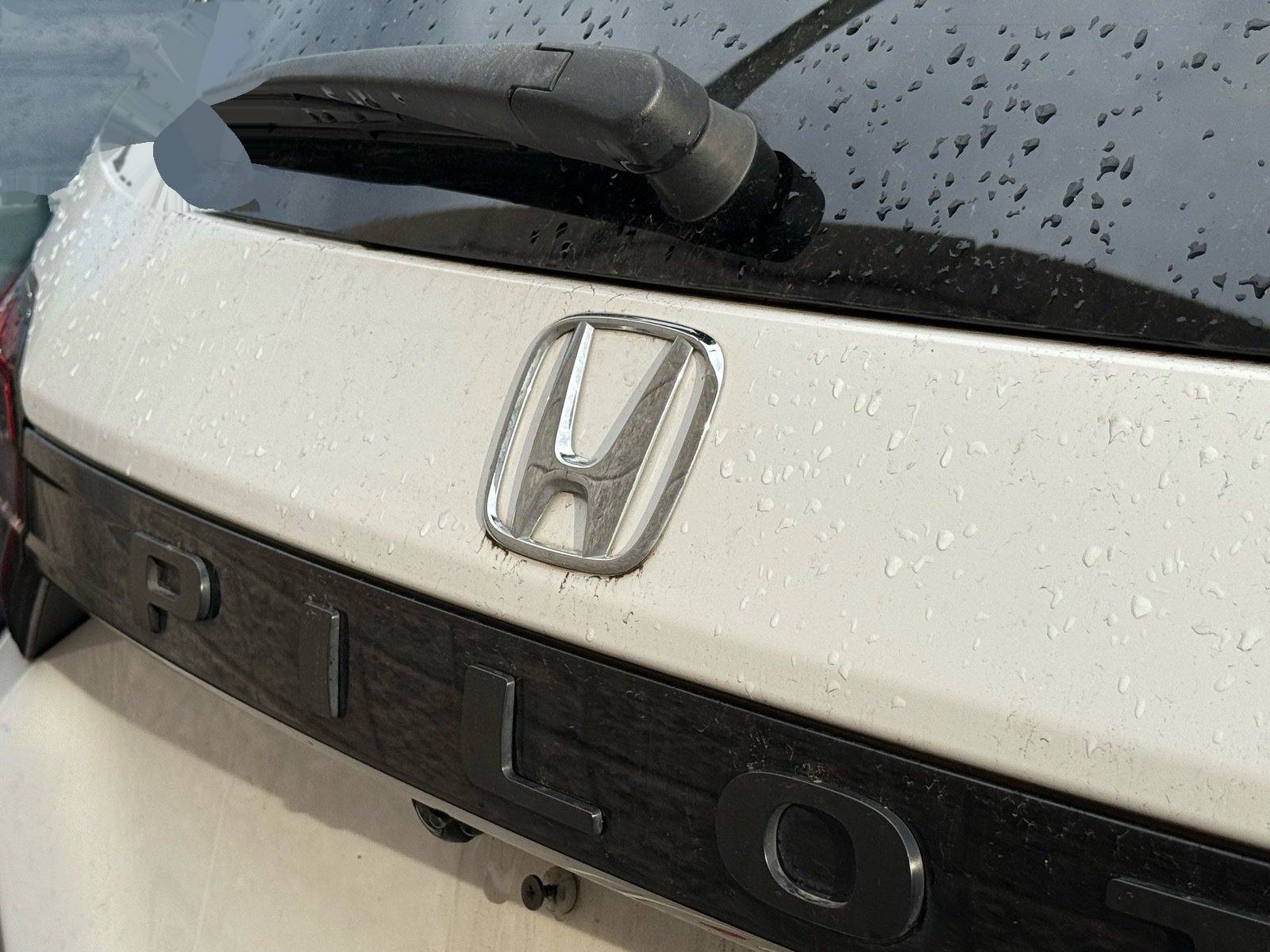 2024 Honda Pilot EX-L — photo 9 thumbnail