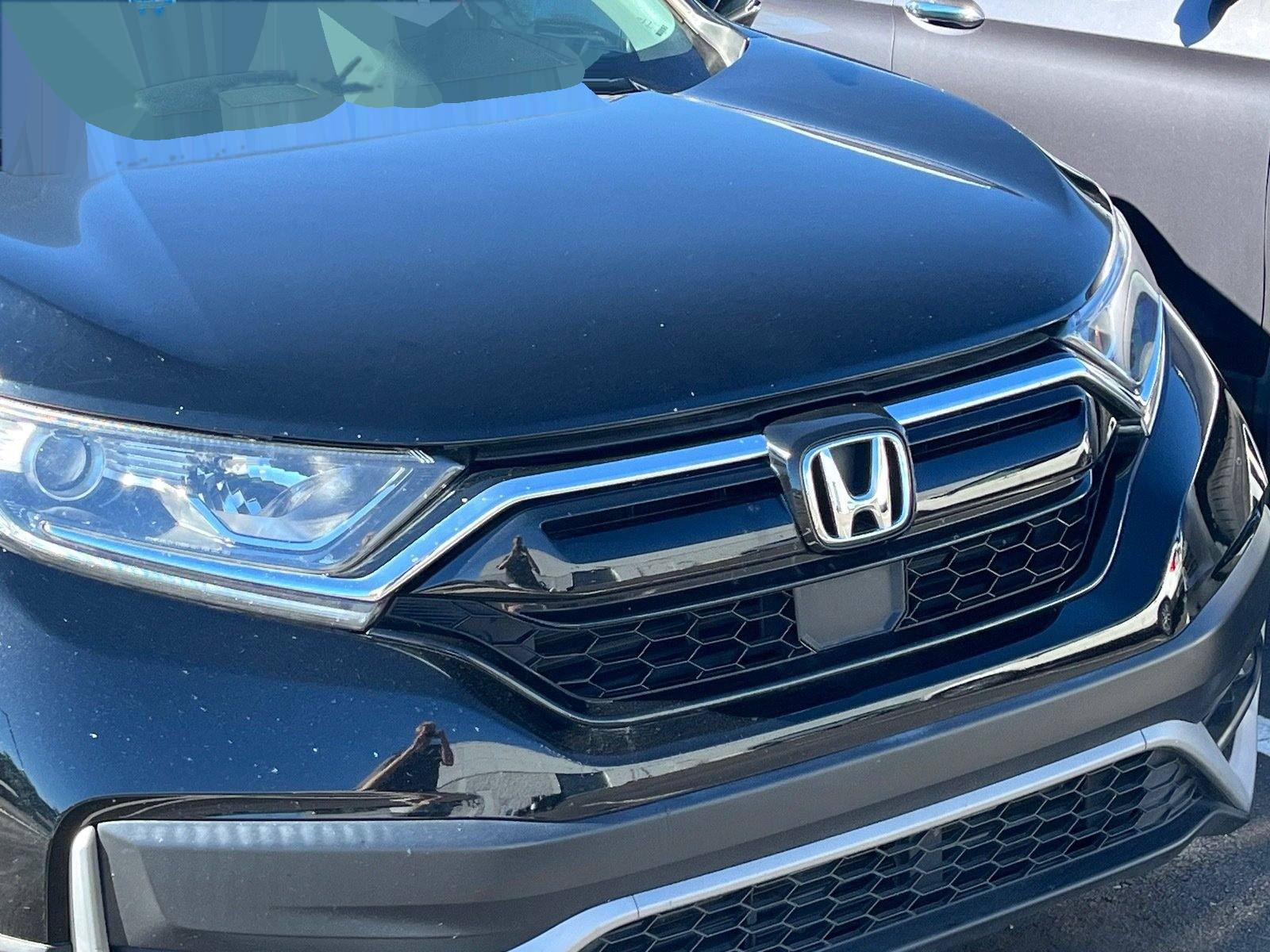 2022 Honda CR-V EX-L — photo 5 thumbnail