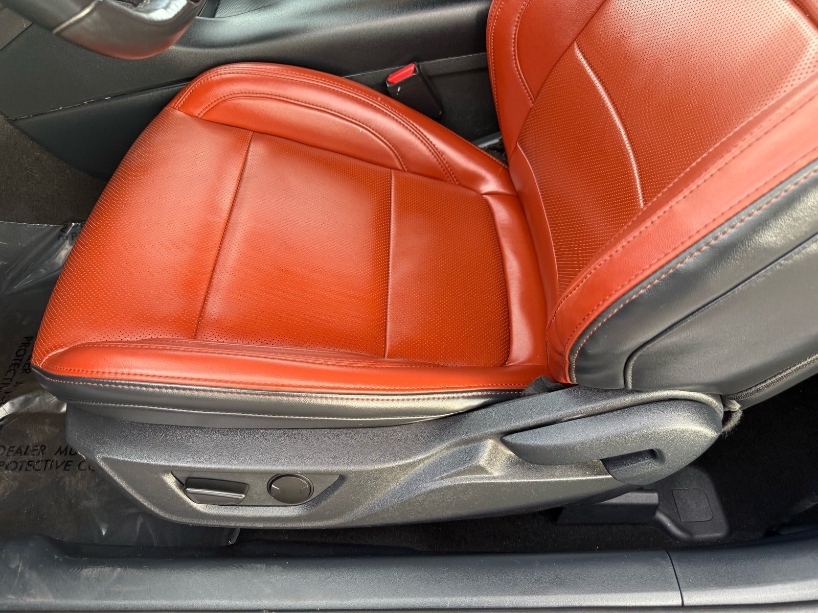 2024 Ford Mustang EcoBoost Premium — photo 13 thumbnail