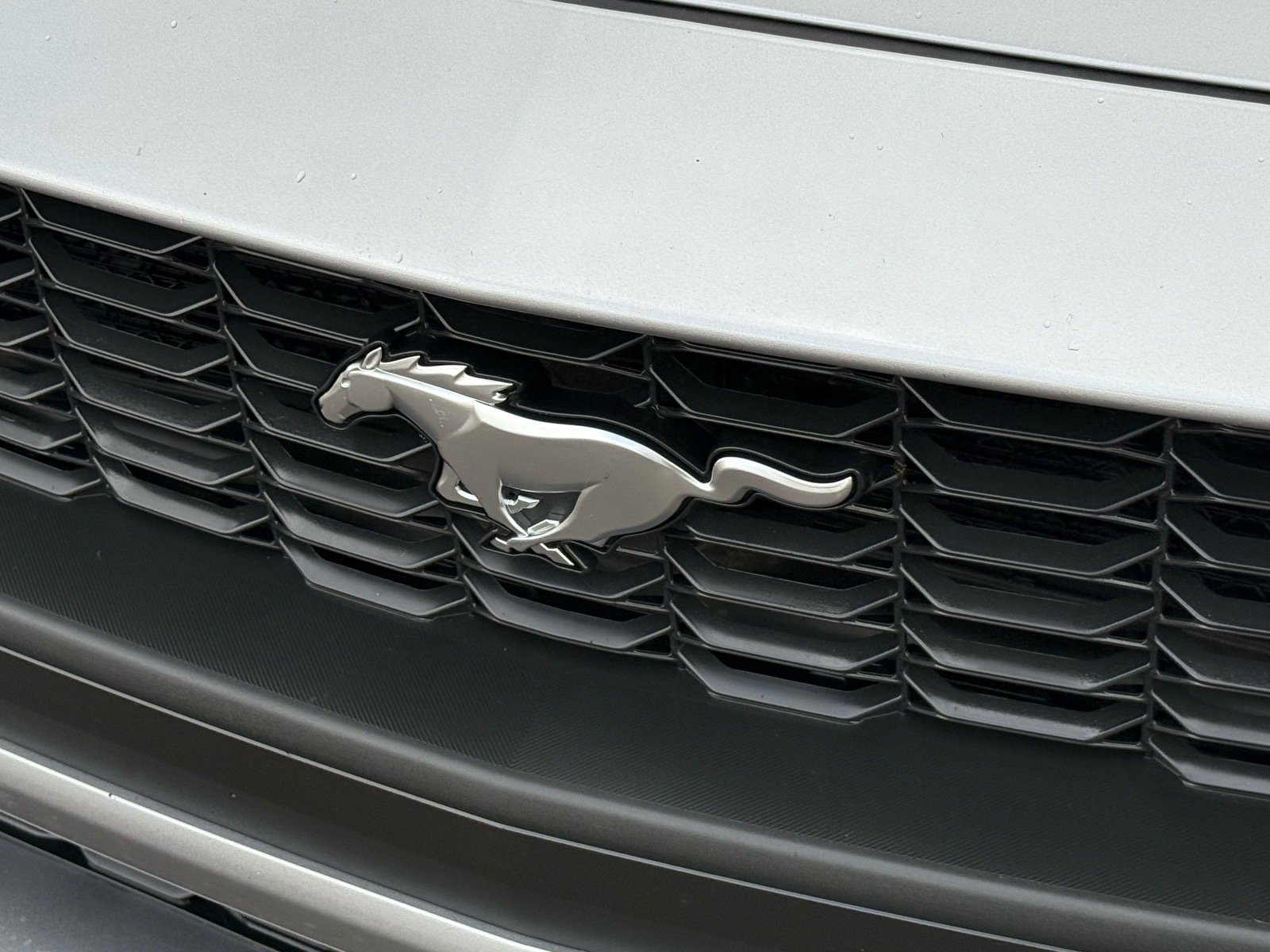2024 Ford Mustang EcoBoost Premium — photo 32 thumbnail