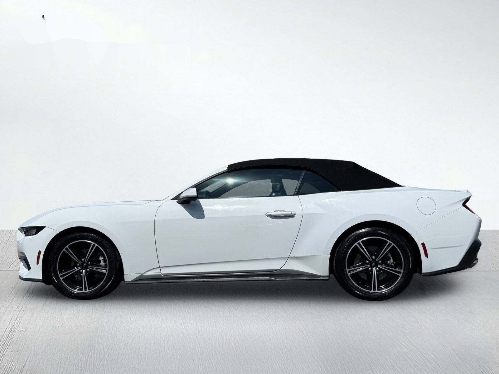 2024 Ford Mustang EcoBoost Premium — photo 3 thumbnail