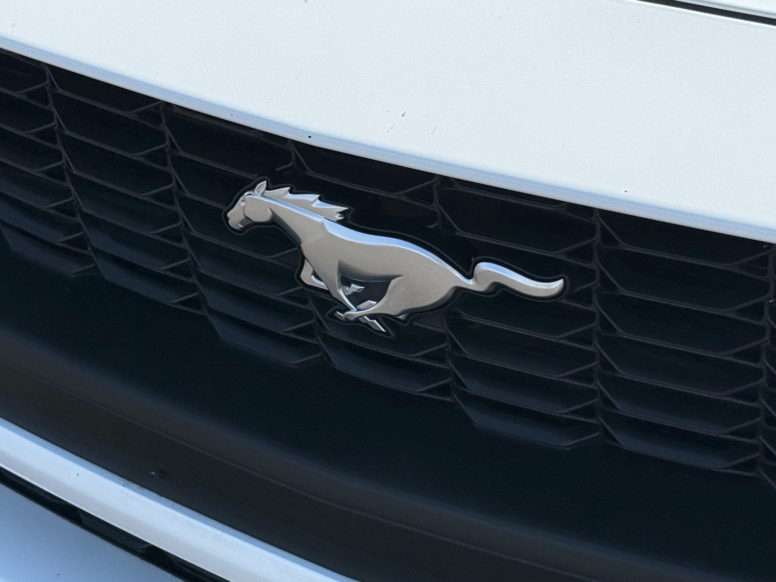 2024 Ford Mustang EcoBoost Premium — photo 31 thumbnail
