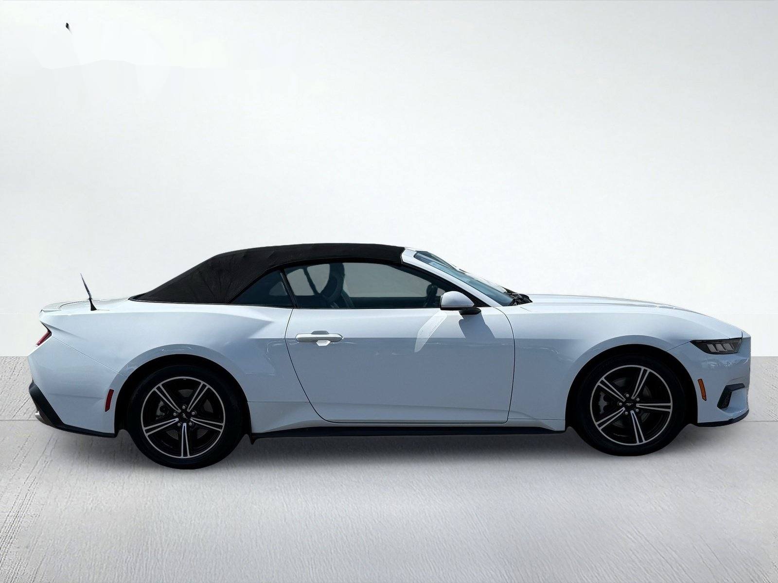 2024 Ford Mustang EcoBoost Premium — photo 8 thumbnail
